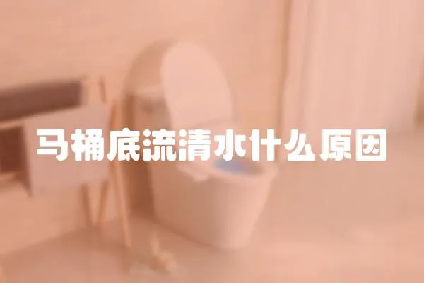 馬桶底流清水什么原因
