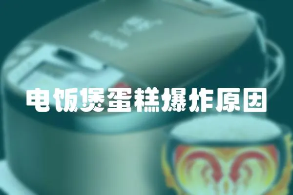 電飯煲蛋糕爆炸原因