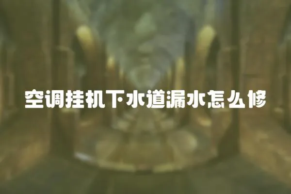 空調(diào)掛機(jī)下水道漏水怎么修
