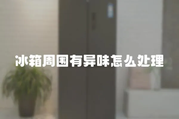 冰箱周圍有異味怎么處理