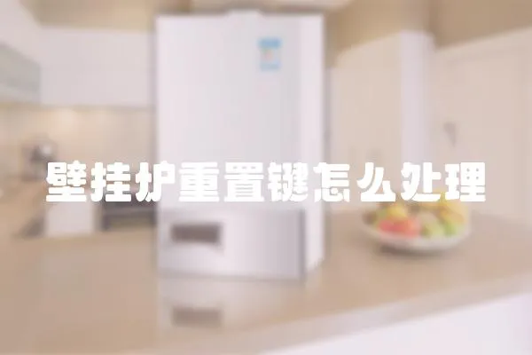 壁掛爐重置鍵怎么處理