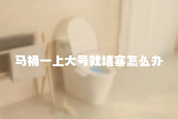 馬桶一上大號(hào)就堵塞怎么辦