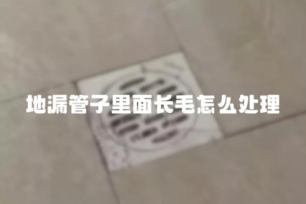 地漏管子里面長毛怎么處理