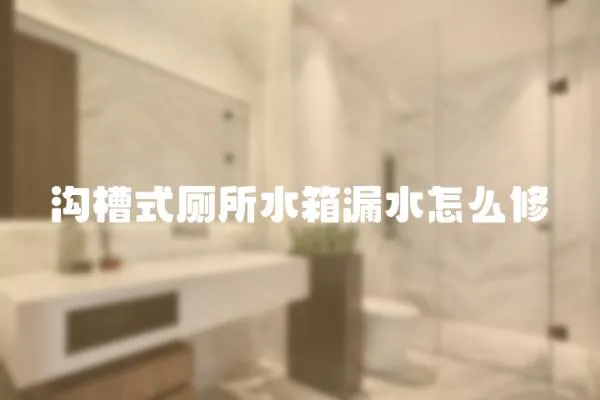 溝槽式廁所水箱漏水怎么修