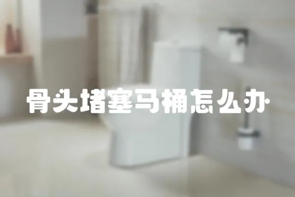 骨頭堵塞馬桶怎么辦