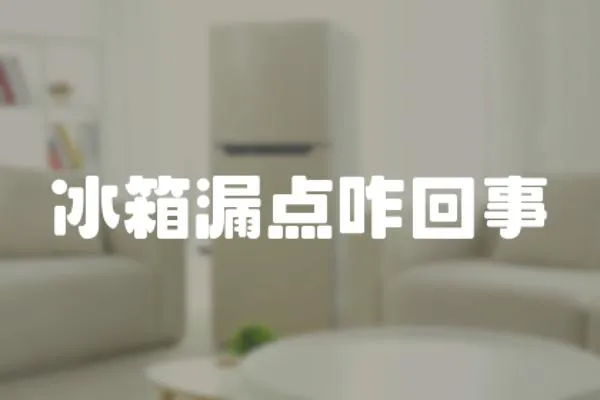 冰箱漏點咋回事