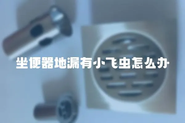 坐便器地漏有小飛蟲怎么辦