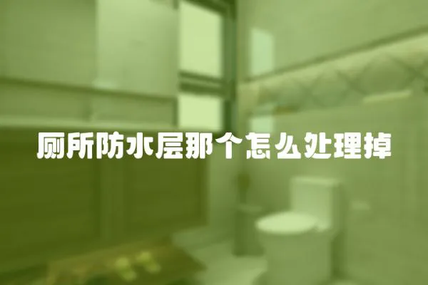 廁所防水層那個怎么處理掉