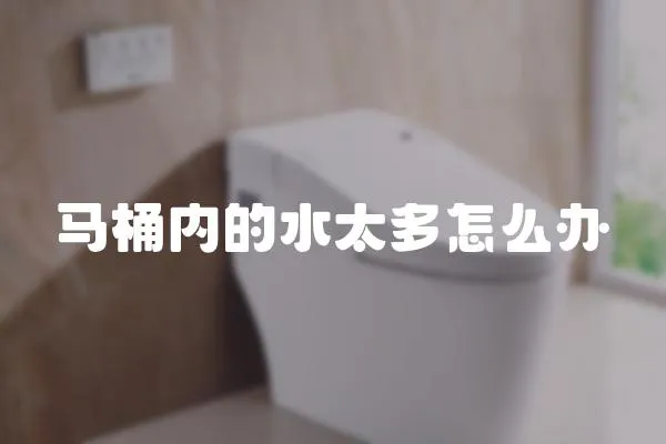 馬桶內(nèi)的水太多怎么辦