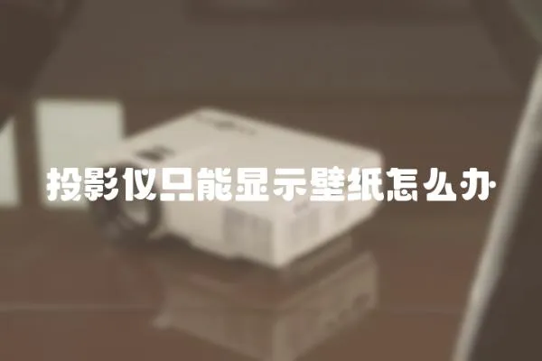 投影儀只能顯示壁紙怎么辦