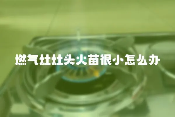 燃氣灶灶頭火苗很小怎么辦