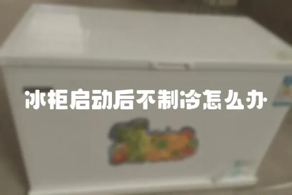冰柜啟動后不制冷怎么辦