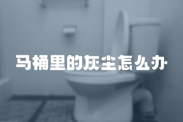 馬桶里的灰塵怎么辦