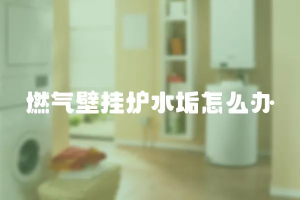 燃氣壁掛爐水垢怎么辦