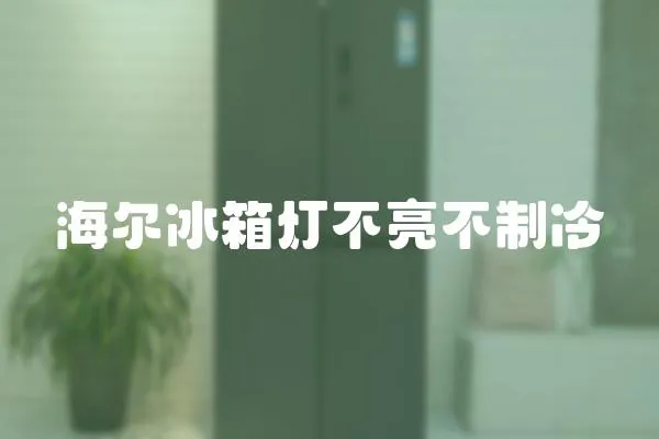 海爾冰箱燈不亮不制冷