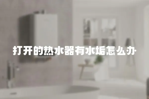 打開(kāi)的熱水器有水垢怎么辦