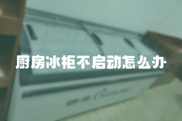 廚房冰柜不啟動(dòng)怎么辦