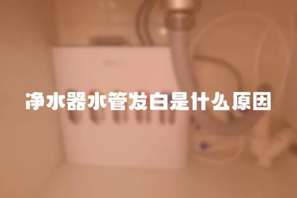 凈水器水管發白是什么原因