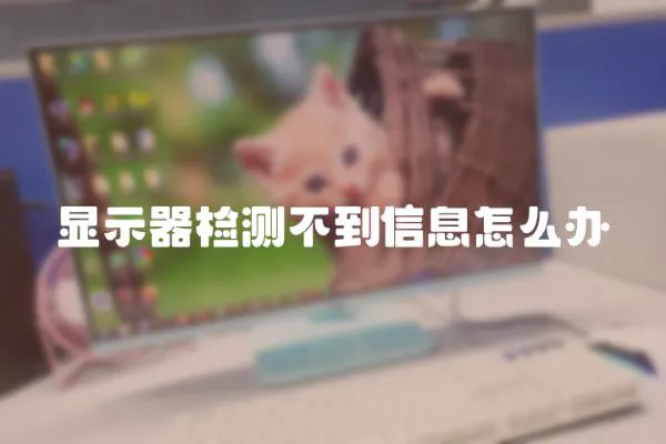 顯示器檢測不到信息怎么辦