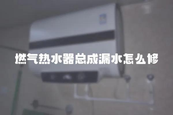 燃氣熱水器總成漏水怎么修