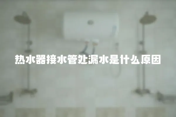 熱水器接水管處漏水是什么原因