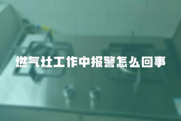 燃?xì)庠罟ぷ髦袌?bào)警怎么回事