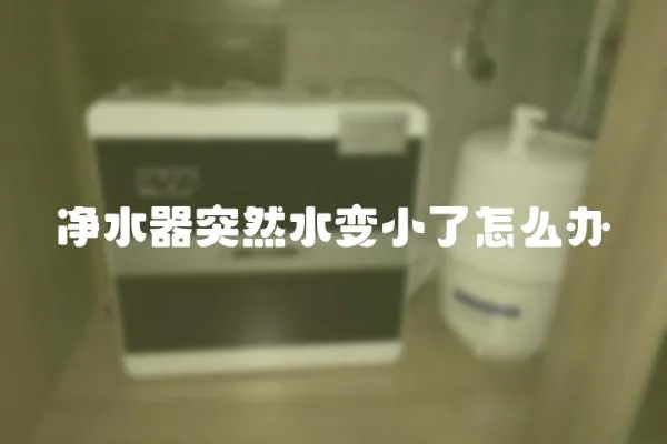 凈水器突然水變小了怎么辦