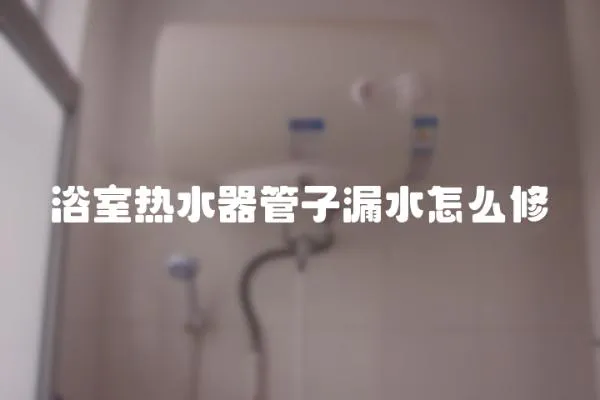 浴室熱水器管子漏水怎么修