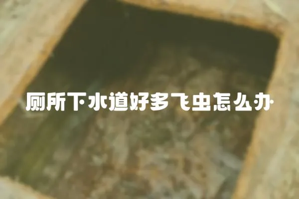 廁所下水道好多飛蟲怎么辦