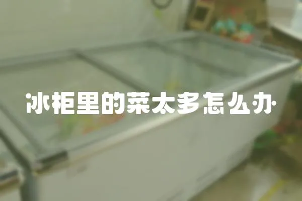 冰柜里的菜太多怎么辦