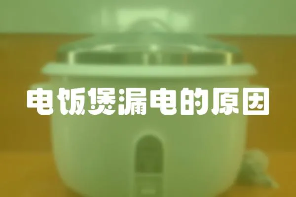 電飯煲漏電的原因