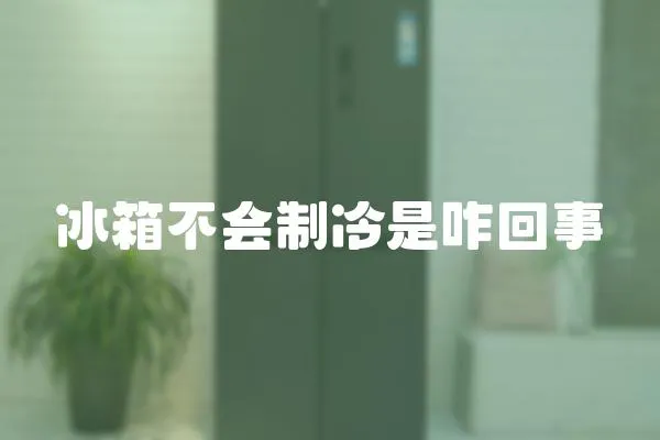 冰箱不會制冷是咋回事