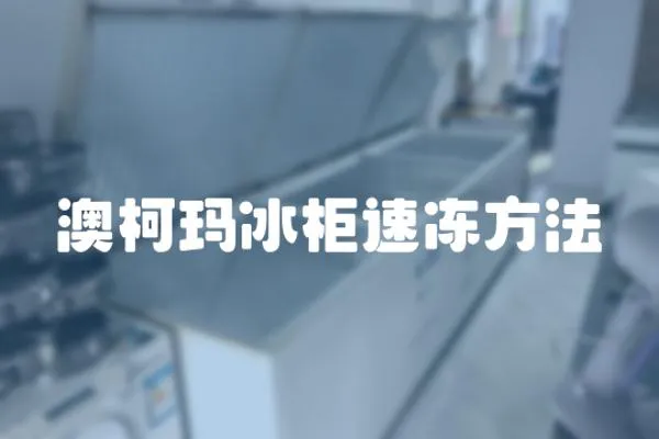 澳柯瑪冰柜速凍方法
