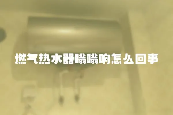 燃氣熱水器嗡嗡響怎么回事
