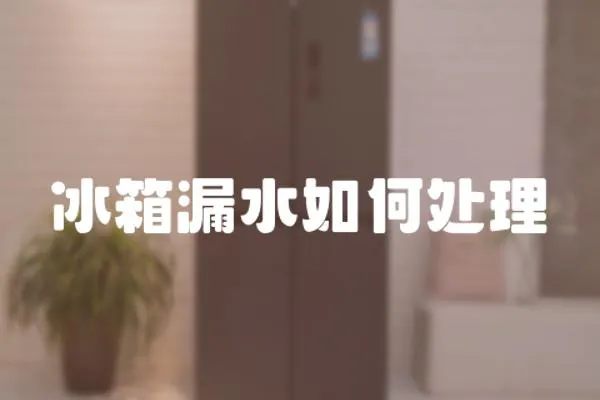 冰箱漏水如何處理