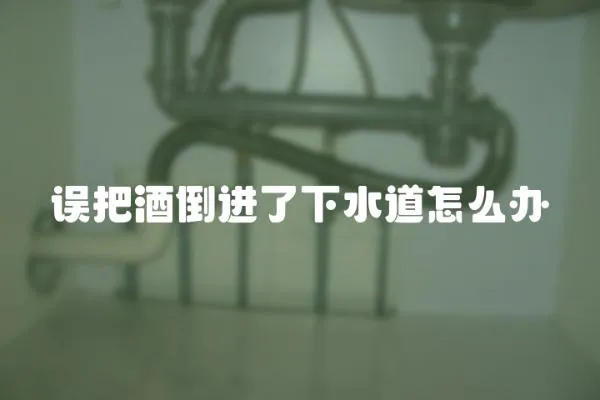 誤把酒倒進了下水道怎么辦