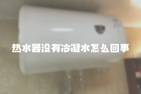 熱水器沒(méi)有冷凝水怎么回事