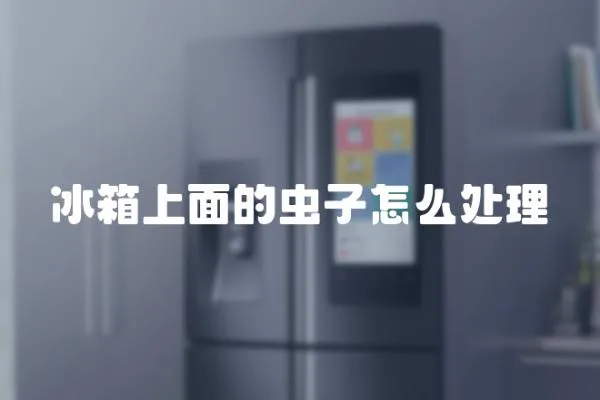 冰箱上面的蟲子怎么處理