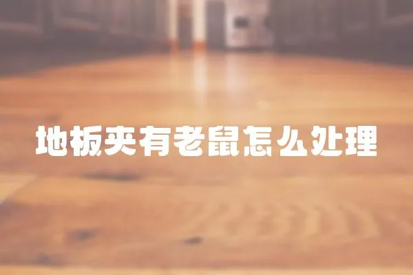 地板夾有老鼠怎么處理