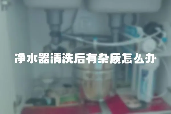 凈水器清洗后有雜質怎么辦