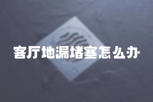 客廳地漏堵塞怎么辦