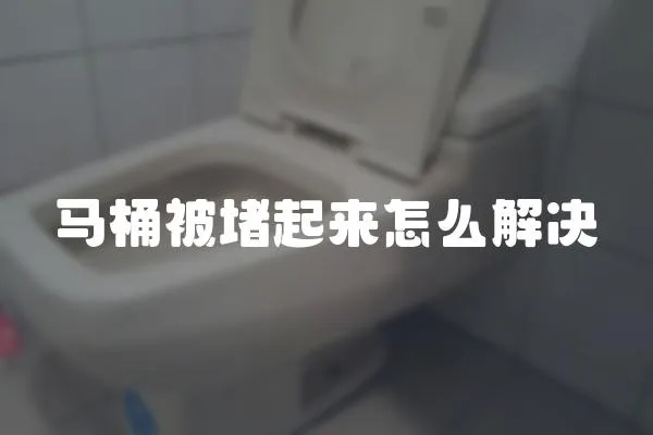 馬桶被堵起來怎么解決