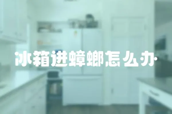 冰箱進蟑螂怎么辦