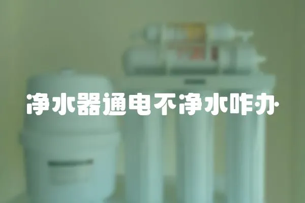 凈水器通電不凈水咋辦