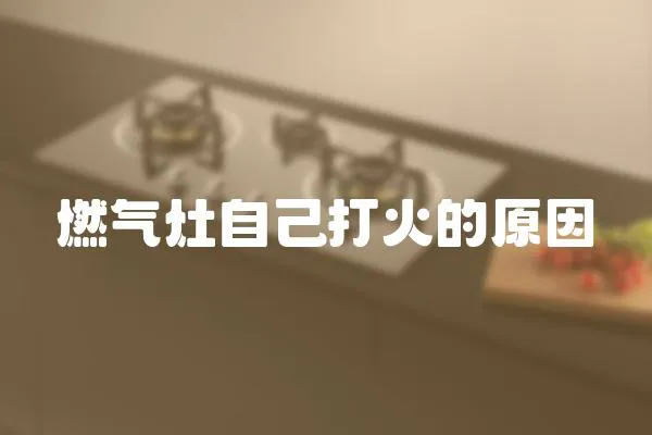 燃?xì)庠钭约捍蚧鸬脑?></a></div>
                    <div   id=