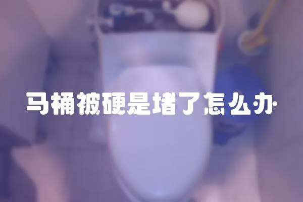 馬桶被硬是堵了怎么辦