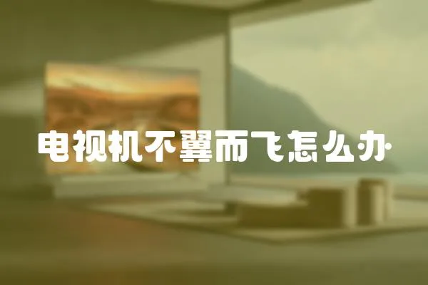 電視機不翼而飛怎么辦