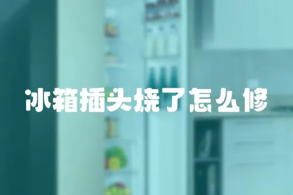 冰箱插頭燒了怎么修