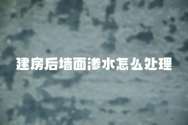 建房后墻面滲水怎么處理