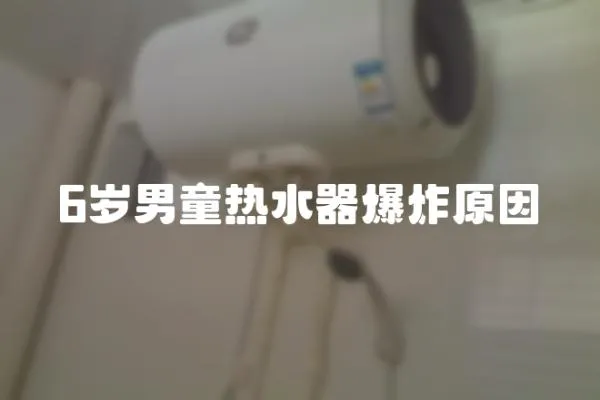 6歲男童熱水器爆炸原因